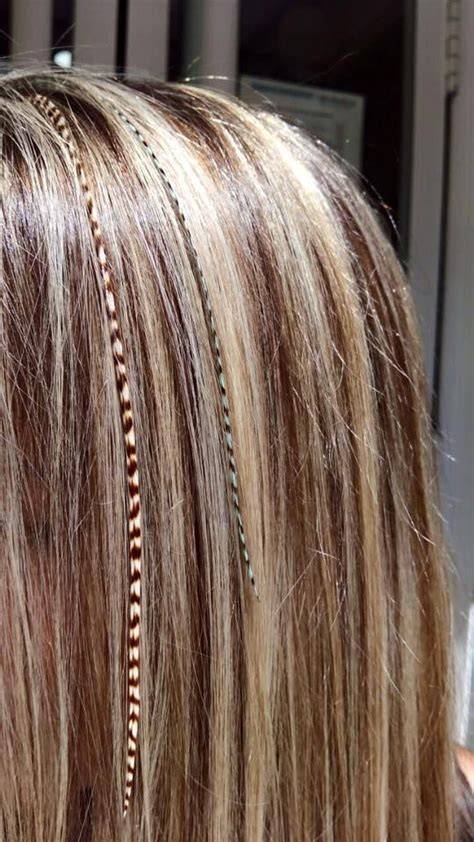 Plumas para el pelo PenalbaWeb.com