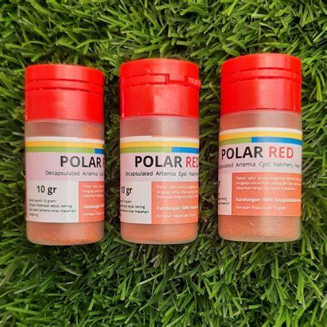 Polar red PenalbaWeb.com