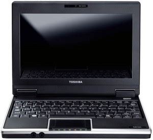 Portatil toshiba nb100 PenalbaWeb.com