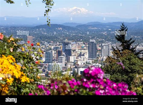 Portland PenalbaWeb.com