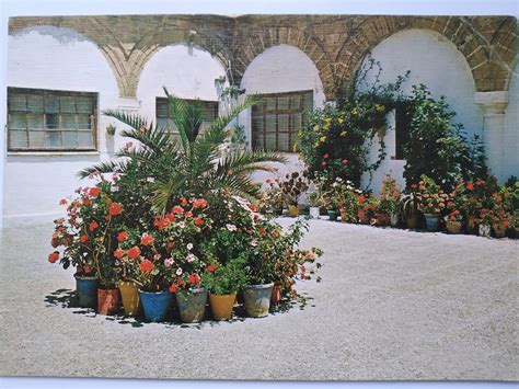 Postal patio PenalbaWeb.com