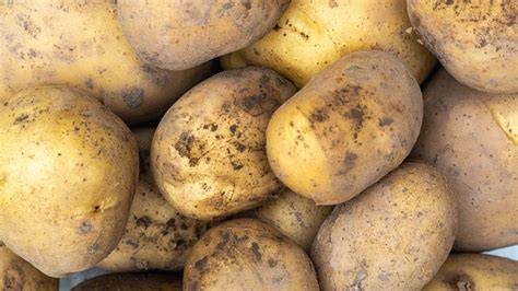 Potato PenalbaWeb.com