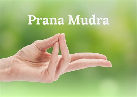 Prana PenalbaWeb.com