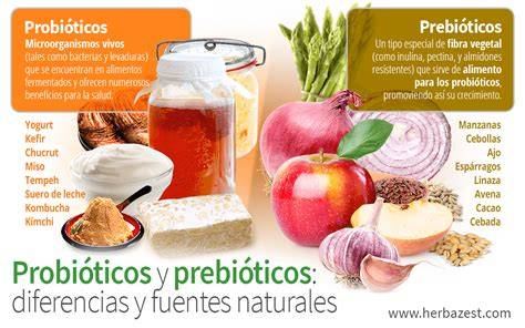 Probioticos y prebioticos PenalbaWeb.com