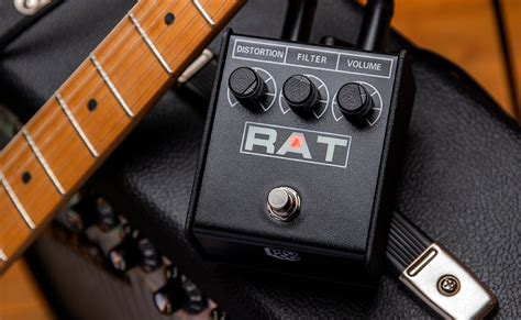 Proco rat PenalbaWeb.com