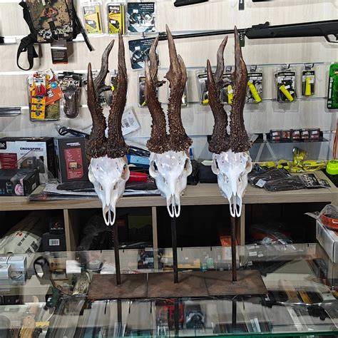 Productos taxidermia PenalbaWeb.com