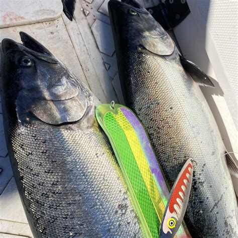 Profundizadores PenalbaWeb.com