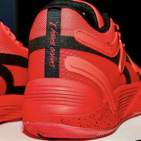 Puma pe PenalbaWeb.com