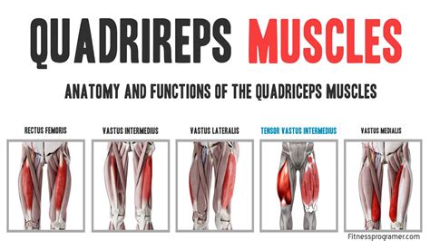 Quads PenalbaWeb.com