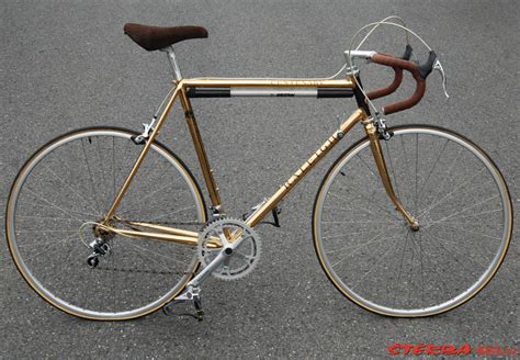 Raleigh 100 PenalbaWeb.com