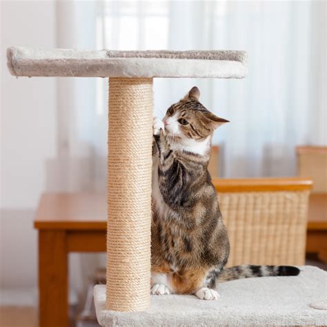 Rascadores para gatos PenalbaWeb.com