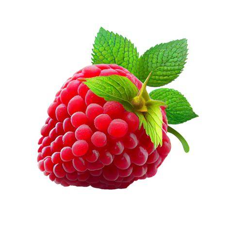 Raspberry PenalbaWeb.com