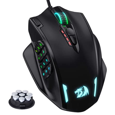 Raton mmo PenalbaWeb.com