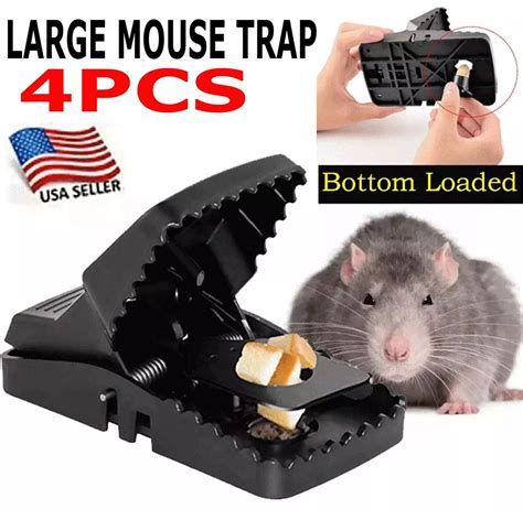 Ratones originales PenalbaWeb.com