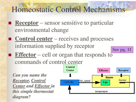 Receptor control PenalbaWeb.com