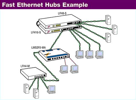 Red fast ethernet PenalbaWeb.com