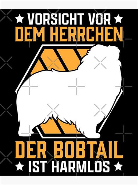 Regalo bobtail PenalbaWeb.com