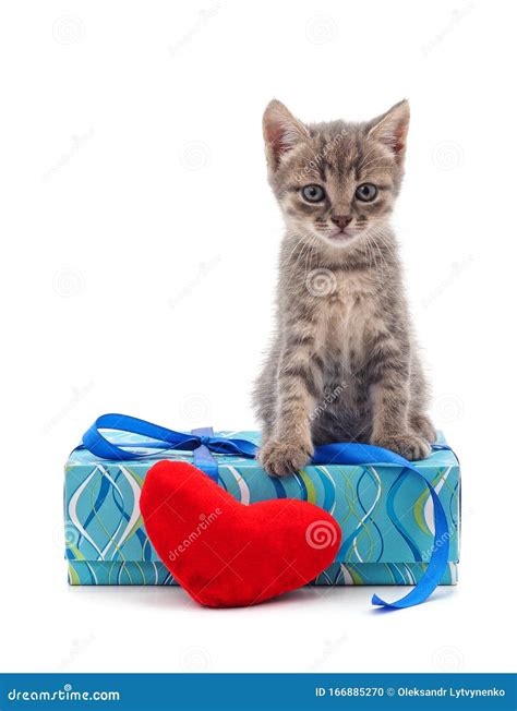 Regalo gatito PenalbaWeb.com