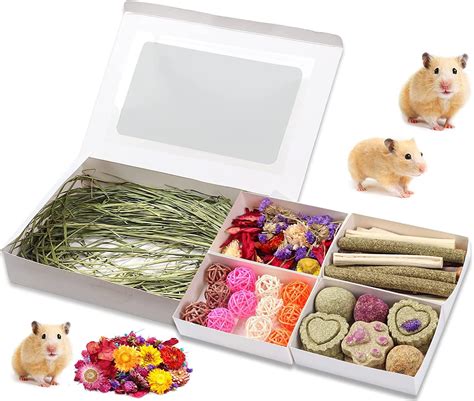 Regalo hamster PenalbaWeb.com
