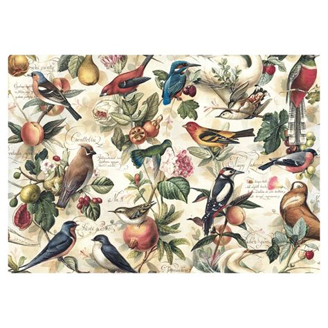 Regalo pajaros PenalbaWeb.com