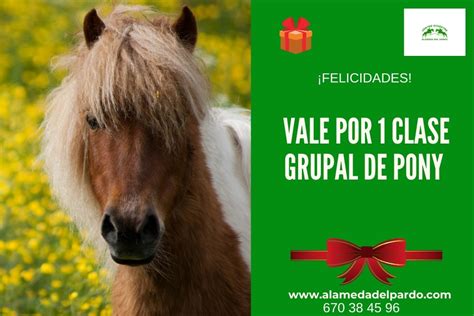 Regalo pony PenalbaWeb.com