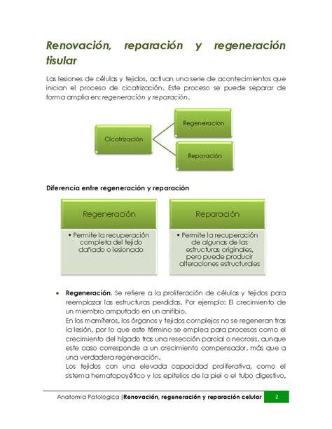 Regeneracion PenalbaWeb.com