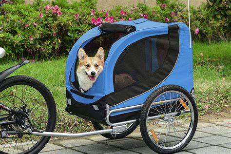 Remolques bici perro PenalbaWeb.com