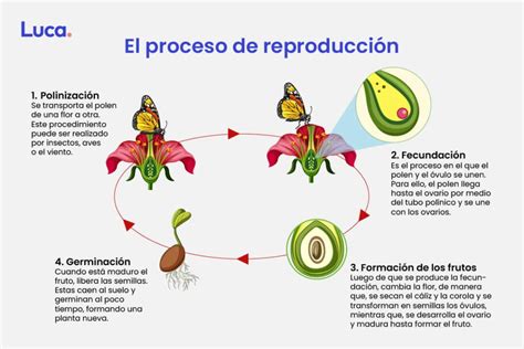 Reproducciones PenalbaWeb.com
