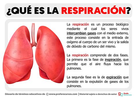 Respiracion PenalbaWeb.com