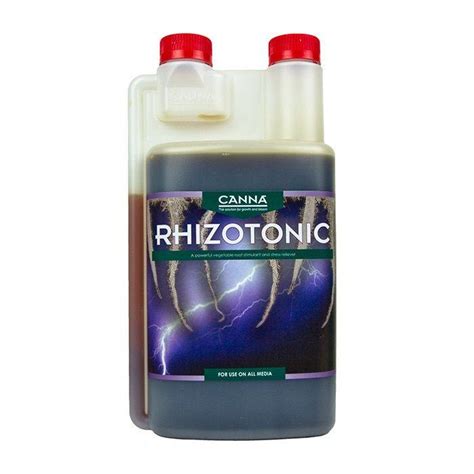 Rhizotonic canna PenalbaWeb.com