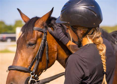 Ridden PenalbaWeb.com