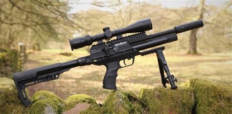 Rifles de aire comprimido PenalbaWeb.com