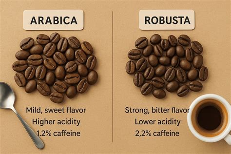 Robusta PenalbaWeb.com