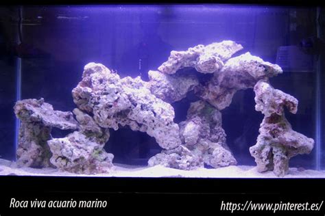 Roca viva acuario PenalbaWeb.com