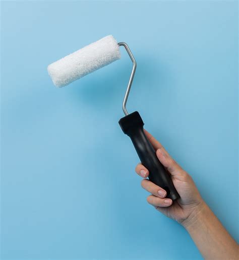 Rodillo pintura PenalbaWeb.com