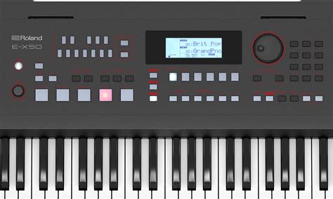 Roland 50 PenalbaWeb.com