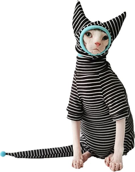 Ropa para gatos PenalbaWeb.com