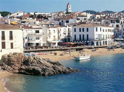 Roses rosas PenalbaWeb.com