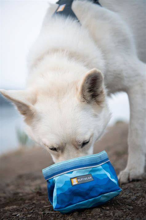 Ruffwear quencher PenalbaWeb.com