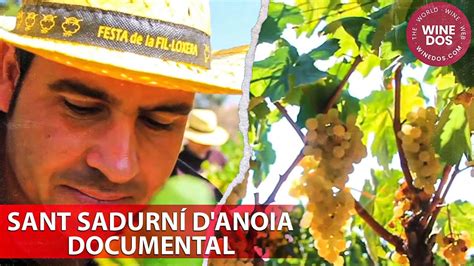 Sadurni PenalbaWeb.com
