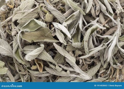 Salvia seca PenalbaWeb.com