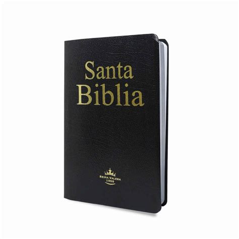 Santa biblia PenalbaWeb.com