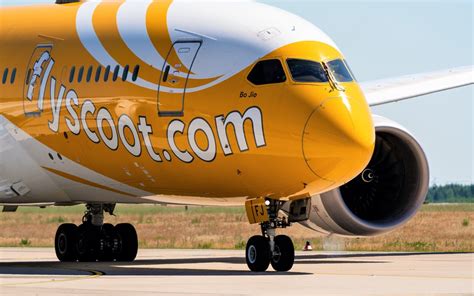Scoot PenalbaWeb.com