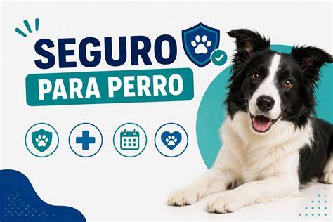 Seguro perro PenalbaWeb.com