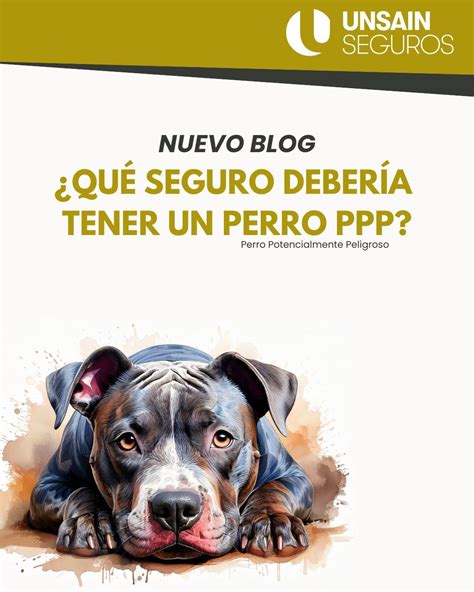 Seguro ppp PenalbaWeb.com