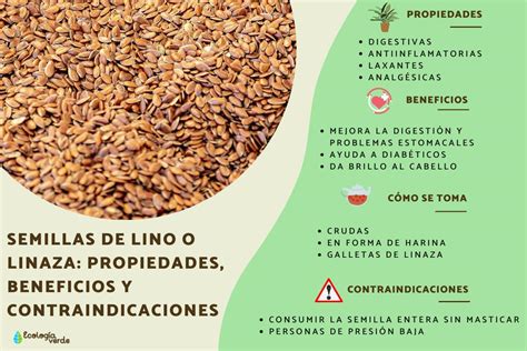 Semillas de lino PenalbaWeb.com