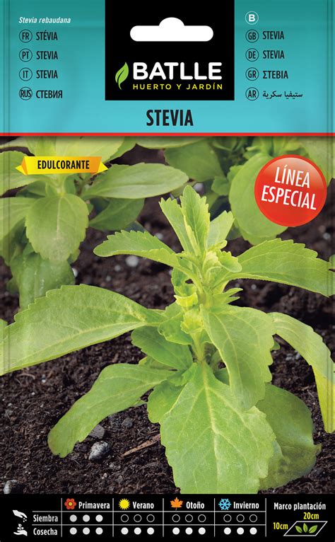 Semillas stevia PenalbaWeb.com