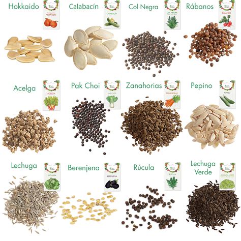 Semillas de verduras y hortalizas PenalbaWeb.com