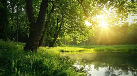 Serene PenalbaWeb.com