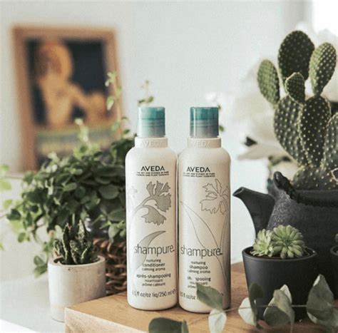 Shampure PenalbaWeb.com